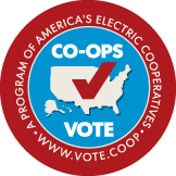 Co-ops Vote Pin