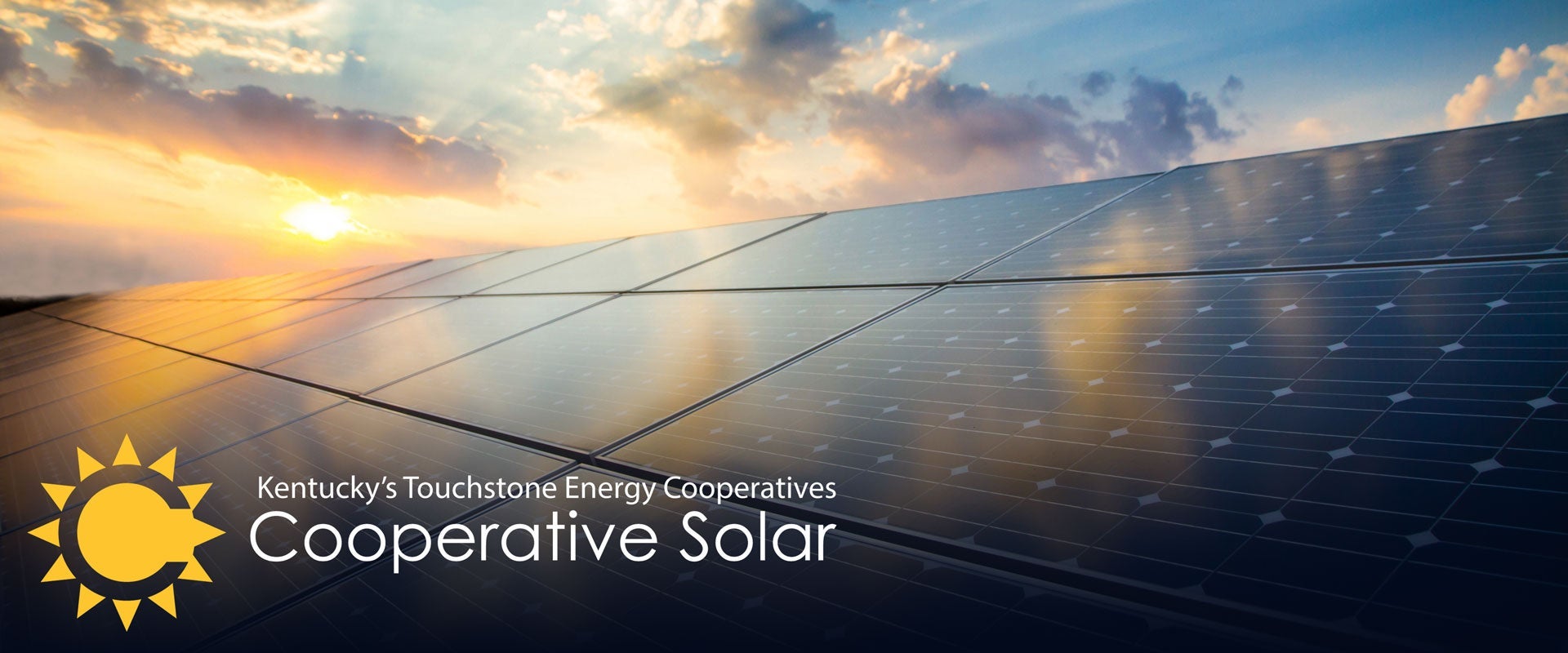 cooperative_solar_panels