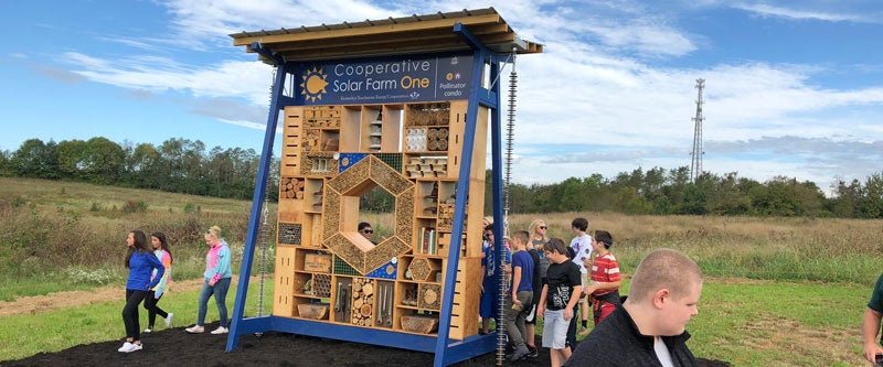 Cooperative Solar Bug Hotel